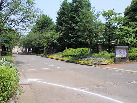 小金井公園 ランニングコース