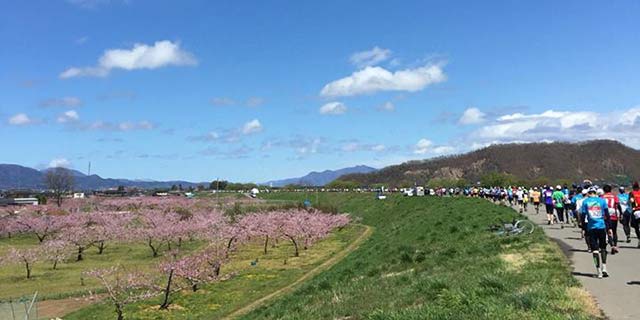 長野マラソン 桜の風景