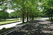 昭和記念公園の園内に、ランニングを楽しめる2つのコースが整備され1月26日（土）にオープン
