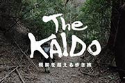 旧東海道の550kmを11日間で歩きつくすウォークイベント「THE KAIDO」開催