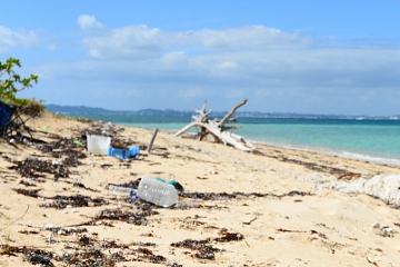 海のために走ろう！アディダス「RUN FOR THE OCEANS」に参加して海洋プラスチック廃棄物の回収をサポート