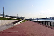 東京の湾岸地帯を見渡しながら走れる「豊洲ぐるり公園」のランニングコースを紹介