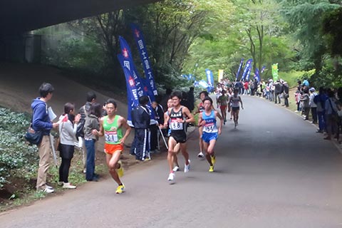 昭和記念公園の中のコースを走るランナー