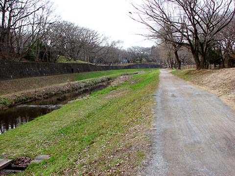 飛田給から野川公園と武蔵野公園を巡るランニングコース
