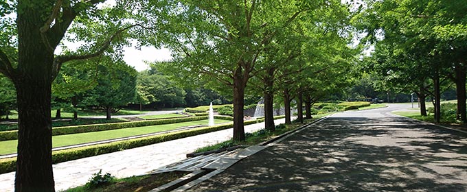 昭和記念公園 ランニングコース