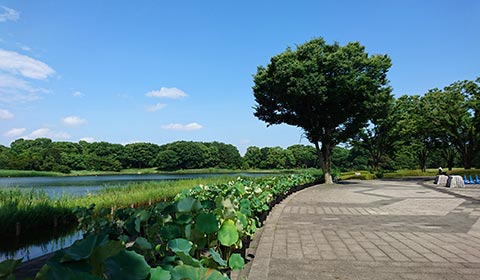 昭和記念公園 水のコース（2,500m）