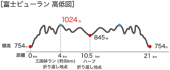 富士ビューラン 高低図