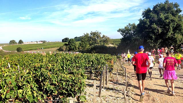 ブドウ畑の広がる美しい景観の中を走るメドックマラソン