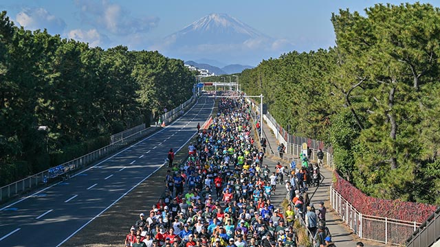富士山を背にした「第18回 湘南国際マラソン」のコース