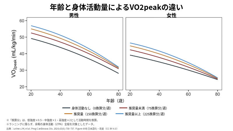 年齢と身体活動量別に見た男女のVO₂peakの変化を示すグラフ