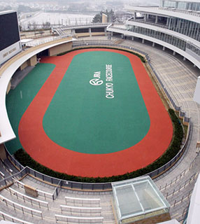 バックヤードマラソンin中京競馬場
