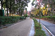 名城公園 ジョギングコース