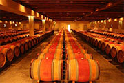 地下ワイン貯蔵施設のトンネルを巡るマラソン大会「ミレスチ・ミーチ ワインラン」がモルドバで開催される