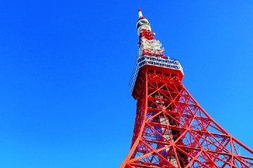 開催が延期されていた「東京タワー階段競走」の開催日が11月15日に決定