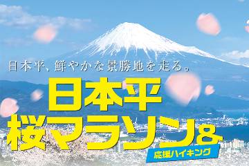 静岡県で4月の桜のシーズンに開催される「日本平桜マラソン」が大会の廃止を発表