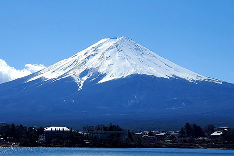 新着の記事 画像1