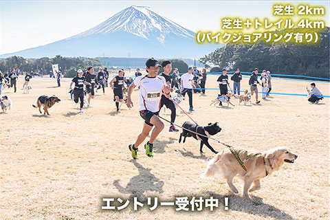 新着の記事 画像1