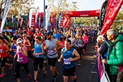 春を迎えて走りやすい気候のオーストラリアを走る「メルボルンマラソン」のエントリースタート