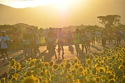 日本列島で最後に沈む夕陽の中を走る「五島列島夕やけマラソン」の参加者募集中