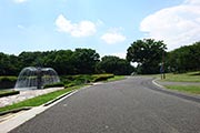 東京都のランニングコースの画像