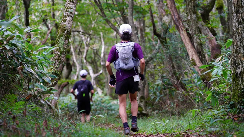 FORESTRAIL HIRUZEN-SHINJO 2026 supported by GREENable