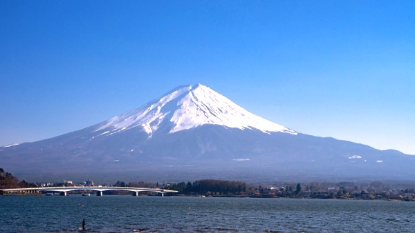 第12回 富士山マラソン 兼 第24回日本IDフルマラソン選手権大会