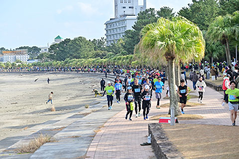 第40回青島太平洋マラソン2026のイメージ画像